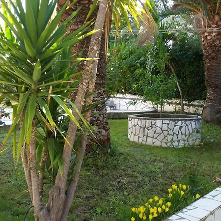Hotel Velvet Thassos Pefkari