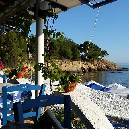 Velvet Thassos מלון 2*